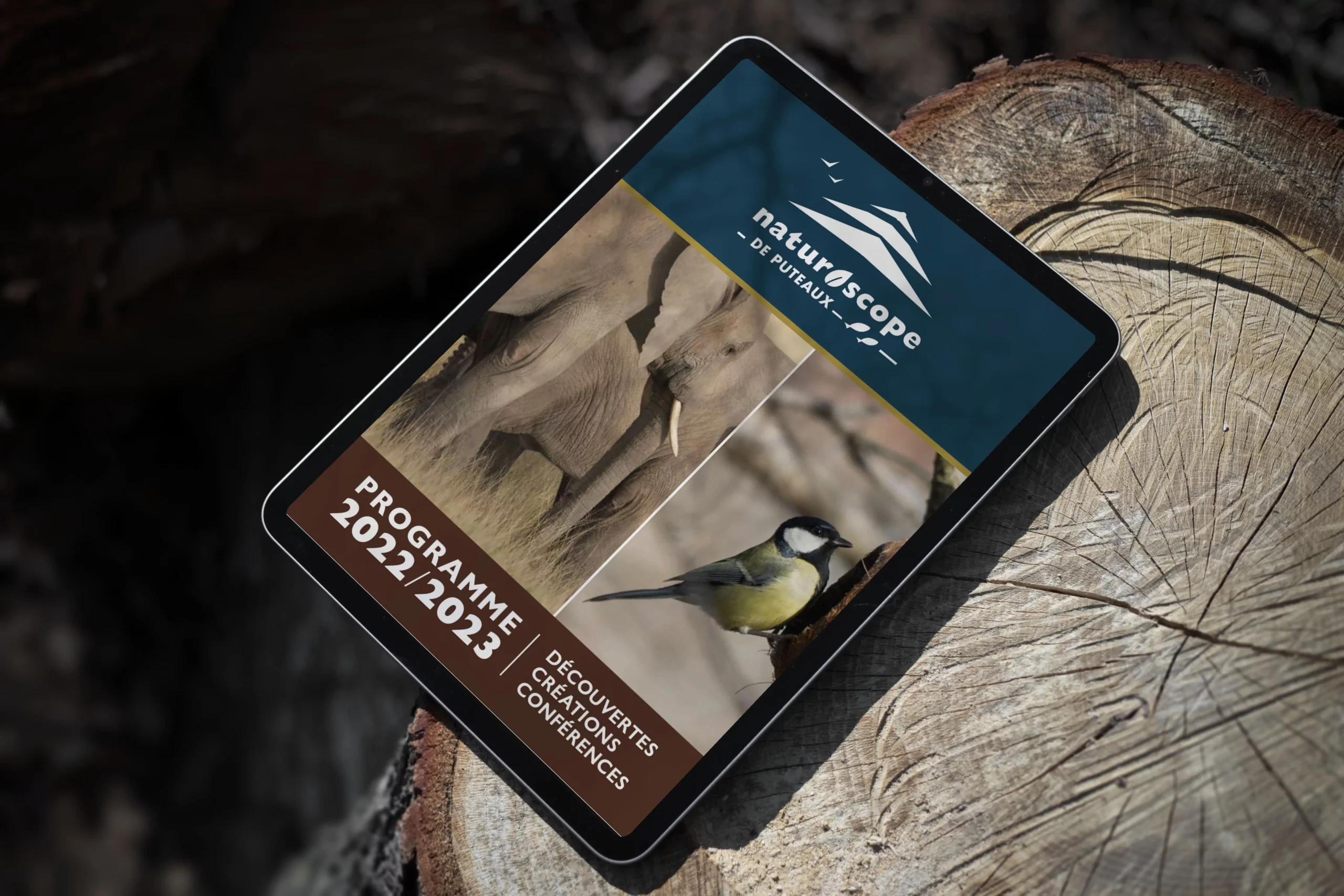 agnes solange-naturoscope couv I_2