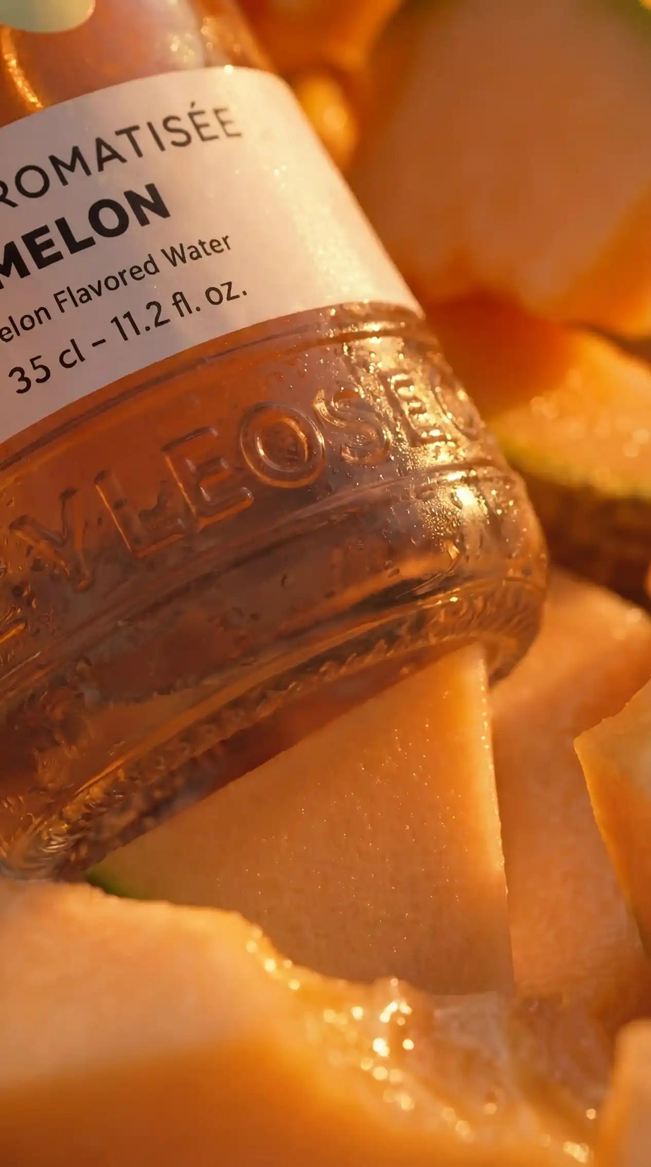 NM_melon_Yleos_916_6