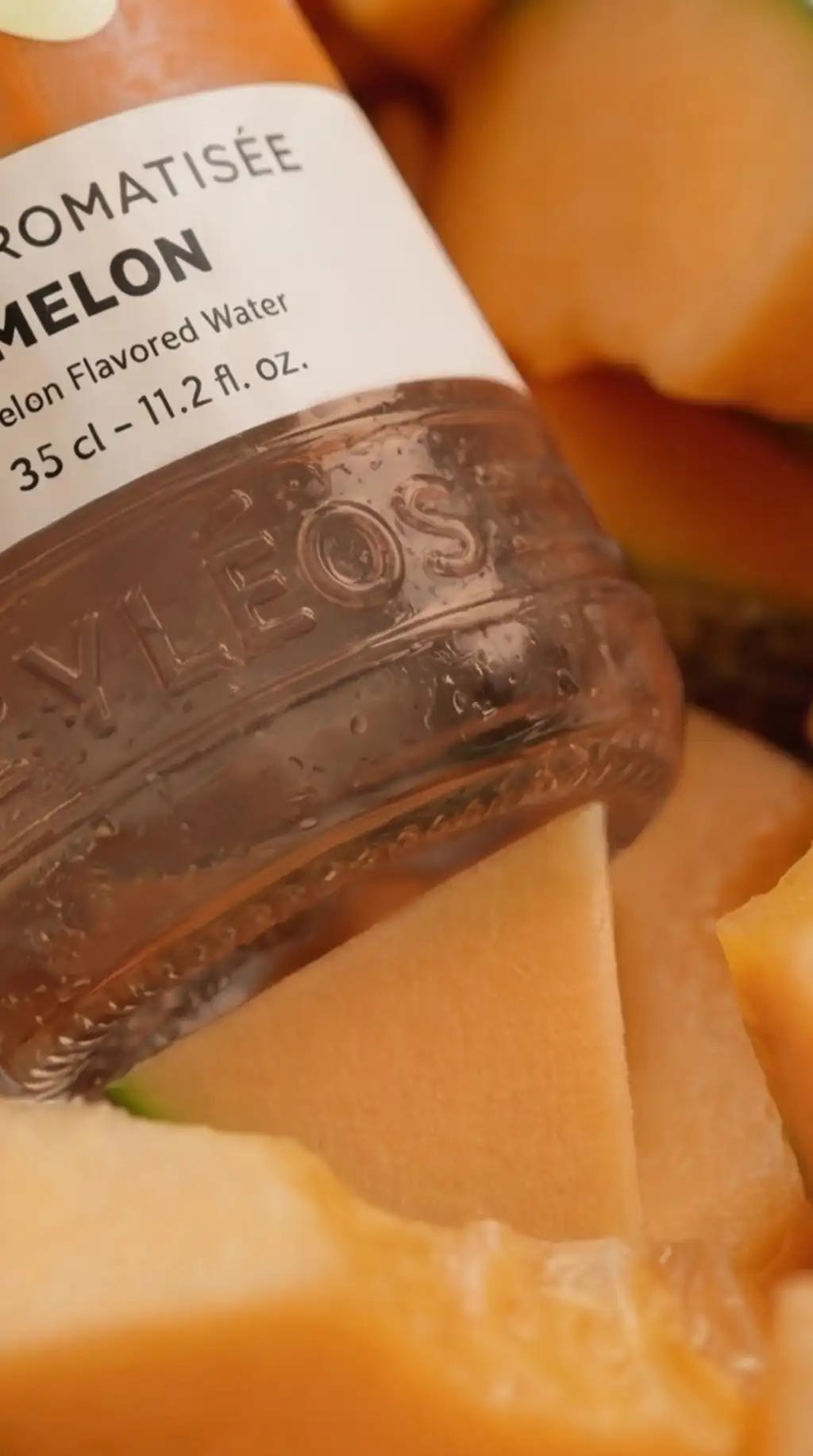 NM_melon_Yleos_916_5