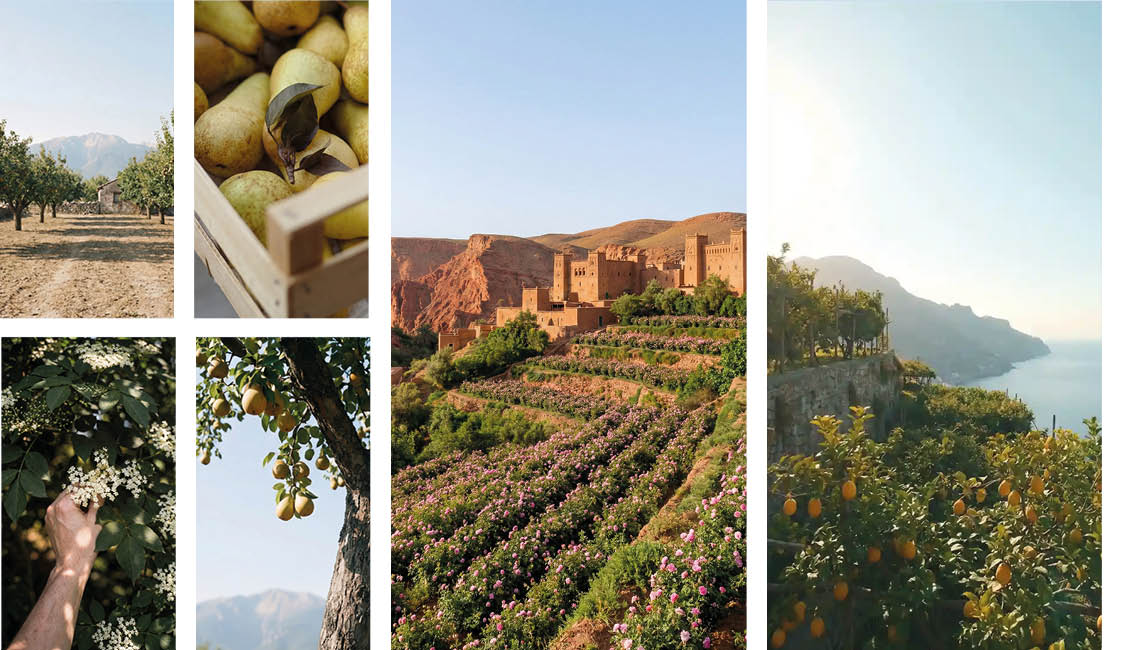 boards compétences_V3 OK29