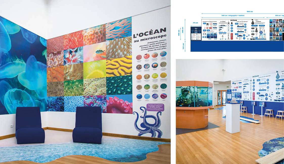 boards compétences_V3 OK48